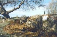 Βήμα Απόστολου Παύλου