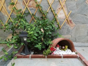 Amaranti Luxury Apartments & Studios Vrasna Beach