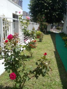 Mentoza Rooms | Stavros